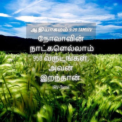 Picture 04 - ஆதியாகமம் 9:29 TAMIRV - நோவாவின் - Bible Verse Picture