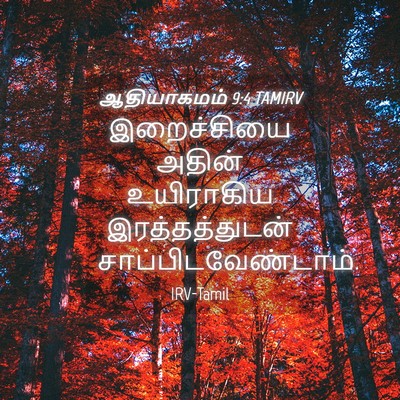 Picture 04 - ஆதியாகமம் 9:4 TAMIRV - இறைச்சியை அதின் - Bible Verse Picture