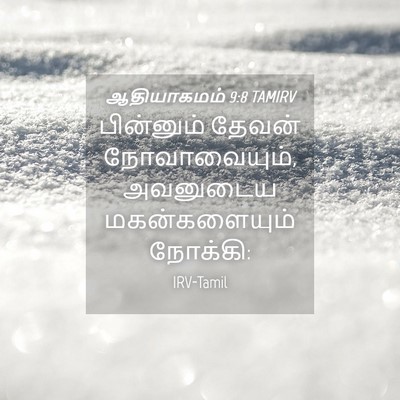 Picture 04 - ஆதியாகமம் 9:8 TAMIRV - பின்னும் தேவன் - Bible Verse Picture