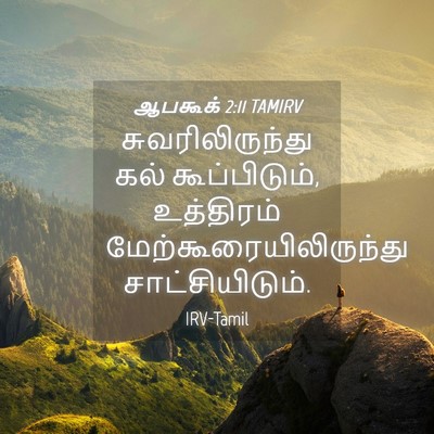 Picture 04 - ஆபகூக் 2:11 TAMIRV - சுவரிலிருந்து கல் - Bible Verse Picture