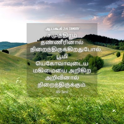 Picture 04 - ஆபகூக் 2:14 TAMIRV - சமுத்திரம் - Bible Verse Picture