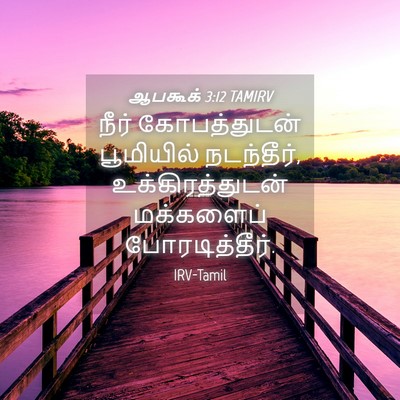Picture 04 - ஆபகூக் 3:12 TAMIRV - நீர் கோபத்துடன் - Bible Verse Picture