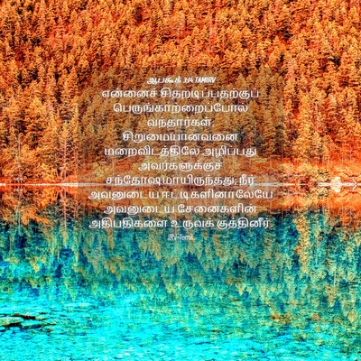 Picture 04 - ஆபகூக் 3:14 TAMIRV - என்னைச் - Bible Verse Picture