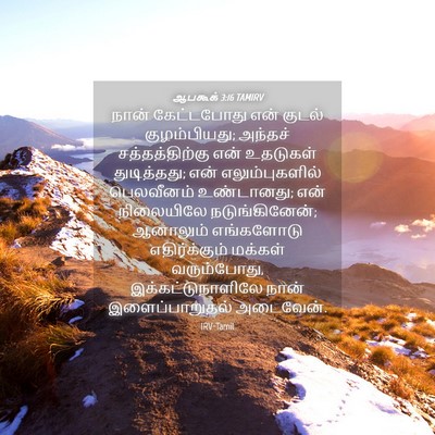 Picture 04 - ஆபகூக் 3:16 TAMIRV - நான் கேட்டபோது - Bible Verse Picture
