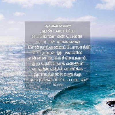 Picture 04 - ஆபகூக் 3:19 TAMIRV - ஆண்டவராகிய யெகோவா - Bible Verse Picture