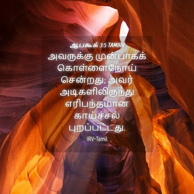 Picture 04 - ஆபகூக் 3:5 TAMIRV - அவருக்கு - Bible Verse Picture