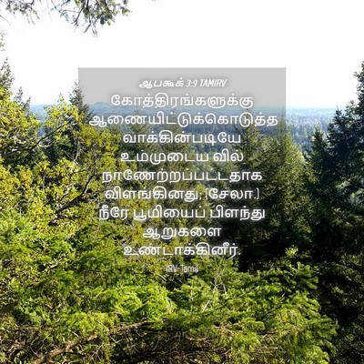 Picture 04 - ஆபகூக் 3:9 TAMIRV - கோத்திரங்களுக்கு - Bible Verse Picture