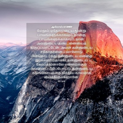 Picture 04 - ஆமோஸ் 1:11 TAMIRV - மேலும்: ஏதோமுடைய - Bible Verse Picture
