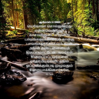 Picture 04 - ஆமோஸ் 1:6 TAMIRV - யெகோவா - Bible Verse Picture