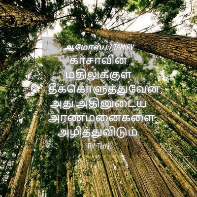 Picture 04 - ஆமோஸ் 1:7 TAMIRV - காசாவின் - Bible Verse Picture