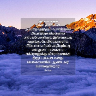 Picture 04 - ஆமோஸ் 1:8 TAMIRV - நான் குடிகளை - Bible Verse Picture