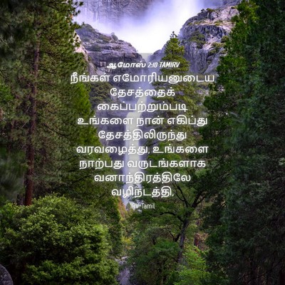 Picture 04 - ஆமோஸ் 2:10 TAMIRV - நீங்கள் - Bible Verse Picture