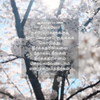 Picture 04 - ஆமோஸ் 2:12 TAMIRV - நீங்களோ - Bible Verse Picture
