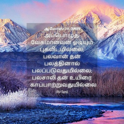 Picture 04 - ஆமோஸ் 2:14 TAMIRV - அப்பொழுது - Bible Verse Picture