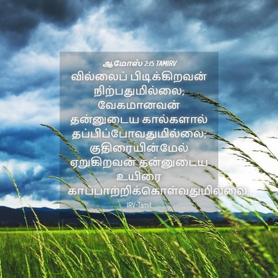 Picture 04 - ஆமோஸ் 2:15 TAMIRV - வில்லைப் - Bible Verse Picture