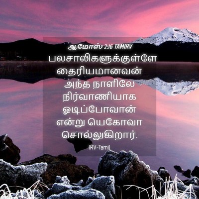 Picture 04 - ஆமோஸ் 2:16 TAMIRV -  - Bible Verse Picture
