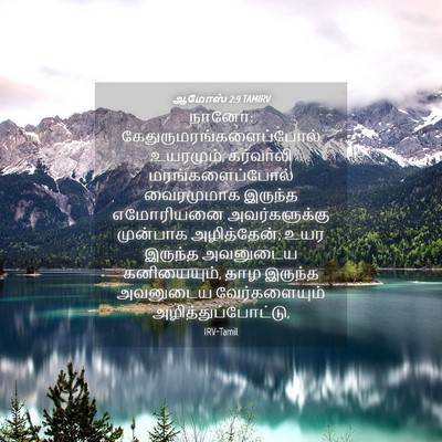 Picture 04 - ஆமோஸ் 2:9 TAMIRV - நானோ: - Bible Verse Picture