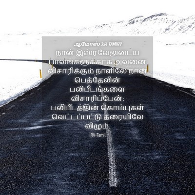 Picture 04 - ஆமோஸ் 3:14 TAMIRV - நான் இஸ்ரவேலுடைய - Bible Verse Picture
