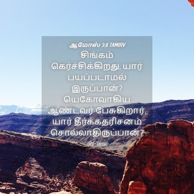 Picture 04 - ஆமோஸ் 3:8 TAMIRV - சிங்கம் - Bible Verse Picture
