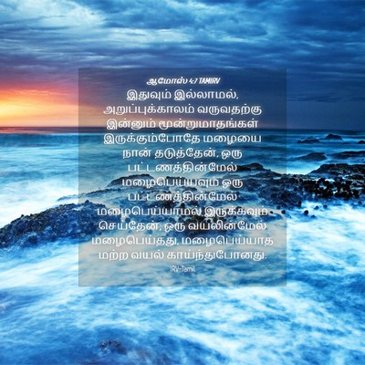 Picture 04 - ஆமோஸ் 4:7 TAMIRV - இதுவும் இல்லாமல், - Bible Verse Picture