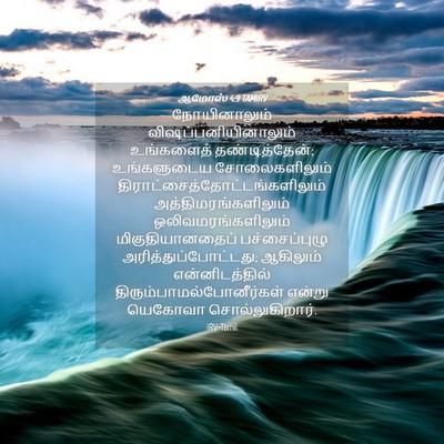 Picture 04 - ஆமோஸ் 4:9 TAMIRV - நோயினாலும் - Bible Verse Picture
