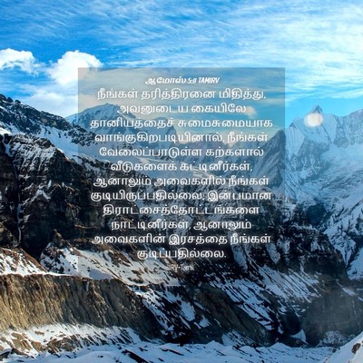 Picture 04 - ஆமோஸ் 5:11 TAMIRV - நீங்கள் - Bible Verse Picture