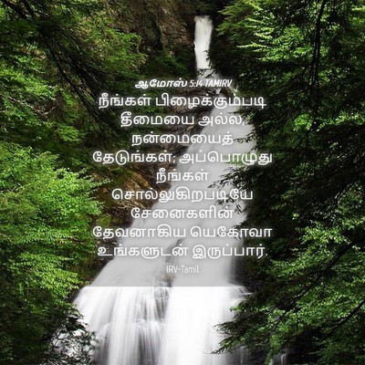 Picture 04 - ஆமோஸ் 5:14 TAMIRV - நீங்கள் - Bible Verse Picture