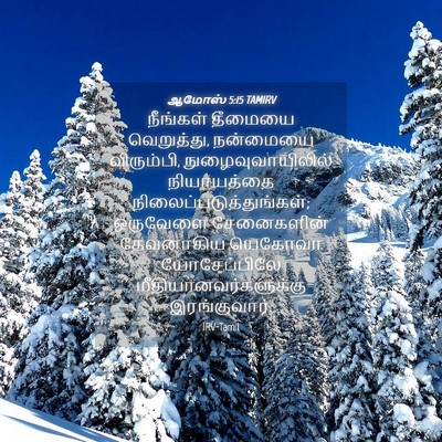 Picture 04 - ஆமோஸ் 5:15 TAMIRV - நீங்கள் தீமையை - Bible Verse Picture
