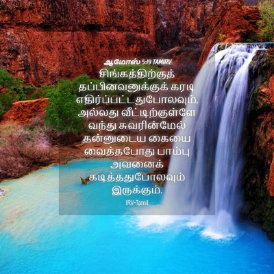 Picture 04 - ஆமோஸ் 5:19 TAMIRV - சிங்கத்திற்குத் - Bible Verse Picture