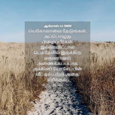Picture 04 - ஆமோஸ் 5:6 TAMIRV - யெகோவாவை - Bible Verse Picture