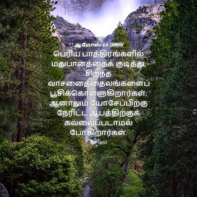 Picture 04 - ஆமோஸ் 6:6 TAMIRV - பெரிய - Bible Verse Picture