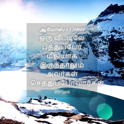 Picture 04 - ஆமோஸ் 6:9 TAMIRV - ஒரு வீட்டிலே - Bible Verse Picture