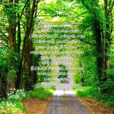 Picture 04 - ஆமோஸ் 7:15 TAMIRV - ஆனால் மந்தையின் - Bible Verse Picture