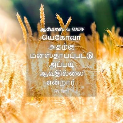 Picture 04 - ஆமோஸ் 7:6 TAMIRV - யெகோவா அதற்கு - Bible Verse Picture