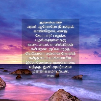 Picture 04 - ஆமோஸ் 8:2 TAMIRV - அவர்: ஆமோஸே, நீ - Bible Verse Picture