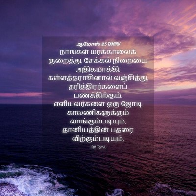 Picture 04 - ஆமோஸ் 8:5 TAMIRV - நாங்கள் - Bible Verse Picture