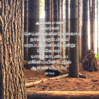 Picture 04 - ஆமோஸ் 8:7 TAMIRV - அவர்கள் - Bible Verse Picture