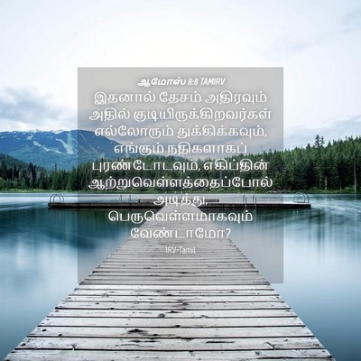 Picture 04 - ஆமோஸ் 8:8 TAMIRV - இதனால் தேசம் - Bible Verse Picture