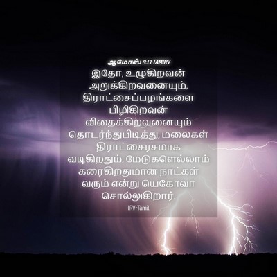 Picture 04 - ஆமோஸ் 9:13 TAMIRV - இதோ, உழுகிறவன் - Bible Verse Picture