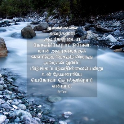 Picture 04 - ஆமோஸ் 9:15 TAMIRV - அவர்களை - Bible Verse Picture