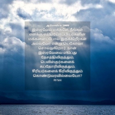 Picture 04 - ஆமோஸ் 9:7 TAMIRV - இஸ்ரவேல் மக்களே, - Bible Verse Picture