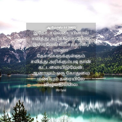 Picture 04 - ஆமோஸ் 9:9 TAMIRV - இதோ, சல்லடையினால் - Bible Verse Picture