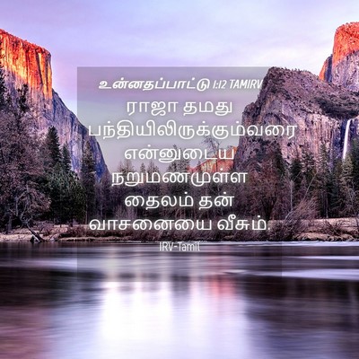 Picture 04 - உன்னதப்பாட்டு 1:12 TAMIRV - ராஜா தமது - Bible Verse Picture