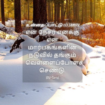 Picture 04 - உன்னதப்பாட்டு 1:13 TAMIRV - என் நேசர் எனக்கு - Bible Verse Picture