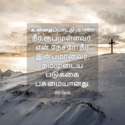 Picture 04 - உன்னதப்பாட்டு 1:16 TAMIRV - நீர் ரூபமுள்ளவர்; - Bible Verse Picture