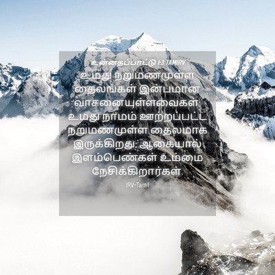 Picture 04 - உன்னதப்பாட்டு 1:3 TAMIRV - உமது நறுமணமுள்ள - Bible Verse Picture