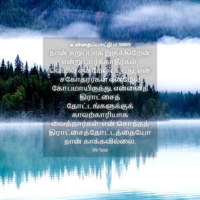 Picture 04 - உன்னதப்பாட்டு 1:6 TAMIRV - நான் கறுப்பாக - Bible Verse Picture