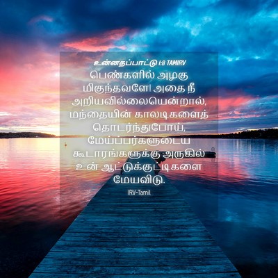 Picture 04 - உன்னதப்பாட்டு 1:8 TAMIRV - பெண்களில் அழகு - Bible Verse Picture