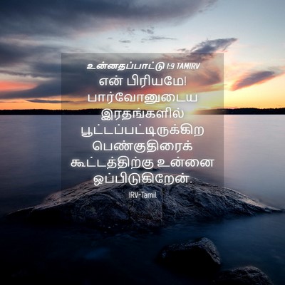 Picture 04 - உன்னதப்பாட்டு 1:9 TAMIRV - என் பிரியமே! - Bible Verse Picture