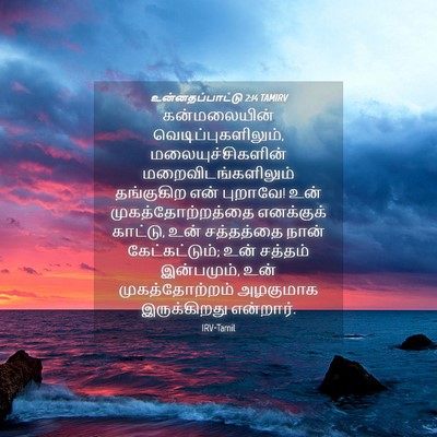 Picture 04 - உன்னதப்பாட்டு 2:14 TAMIRV - கன்மலையின் - Bible Verse Picture